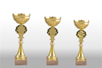 Sportovní trofeje